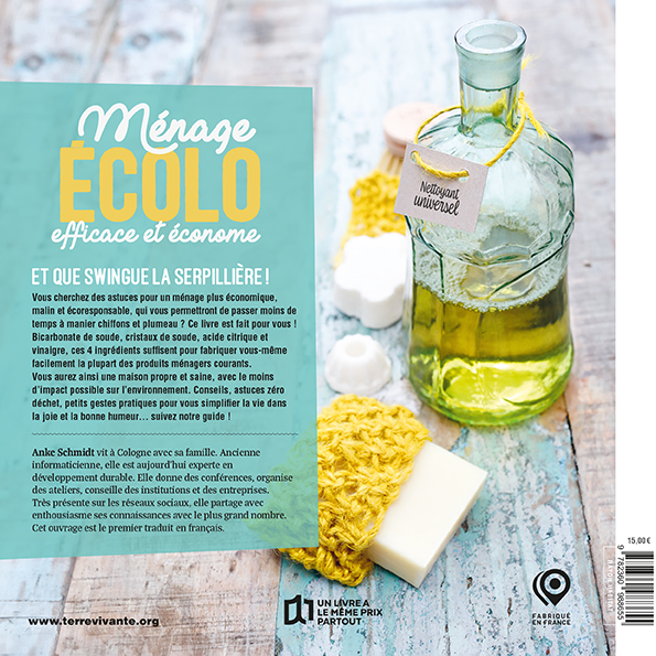 Ménage écolo, efficace et économe - Anke Schmidt - TERRE VIVANTE