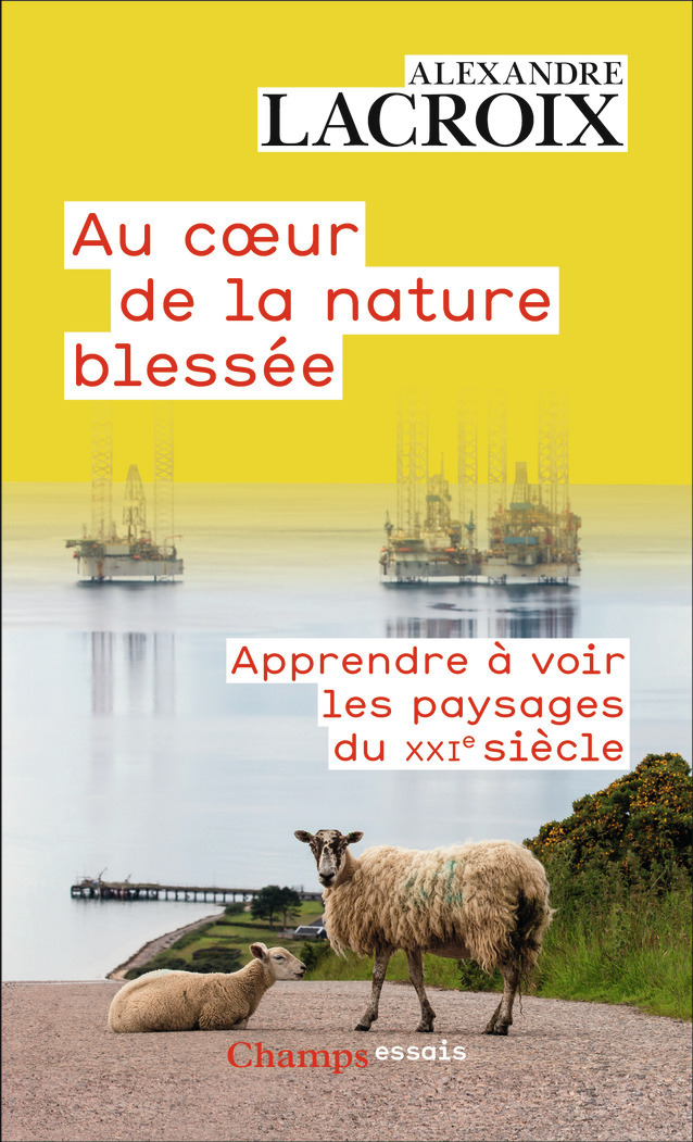 AU COEUR DE LA NATURE BLESSEE - APPRENDRE A VOIR LES PAYSAGES DU XXIE SIECLE - Alexandre Lacroix - FLAMMARION