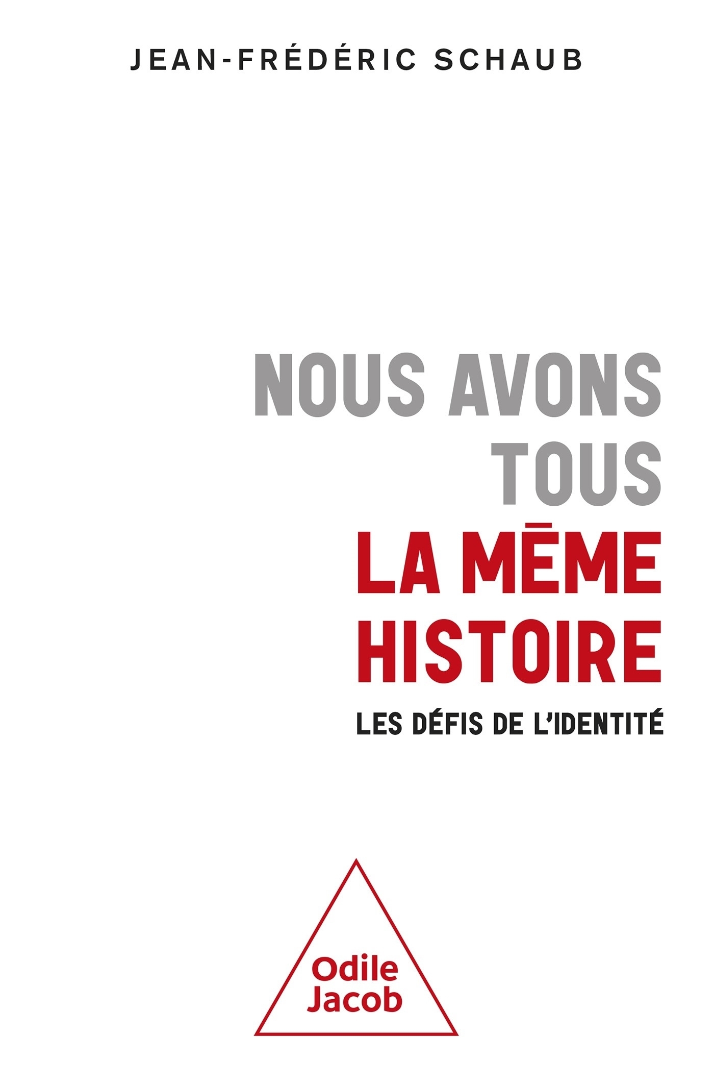 NOUS AVONS TOUS LA MEME HISTOIRE - Jean-Frédéric Schaub - JACOB