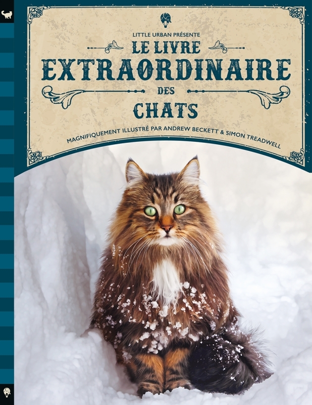 LE LIVRE EXTRAORDINAIRE DES CHATS -  Taylor Barbara - LITTLE URBAN