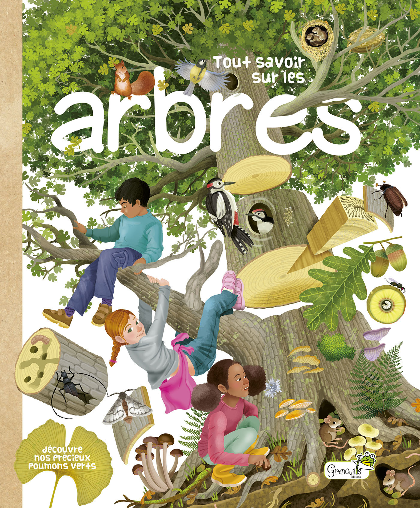 TOUT SAVOIR SUR LES ARBRES - Isabelle Massol - GRENOUILLE