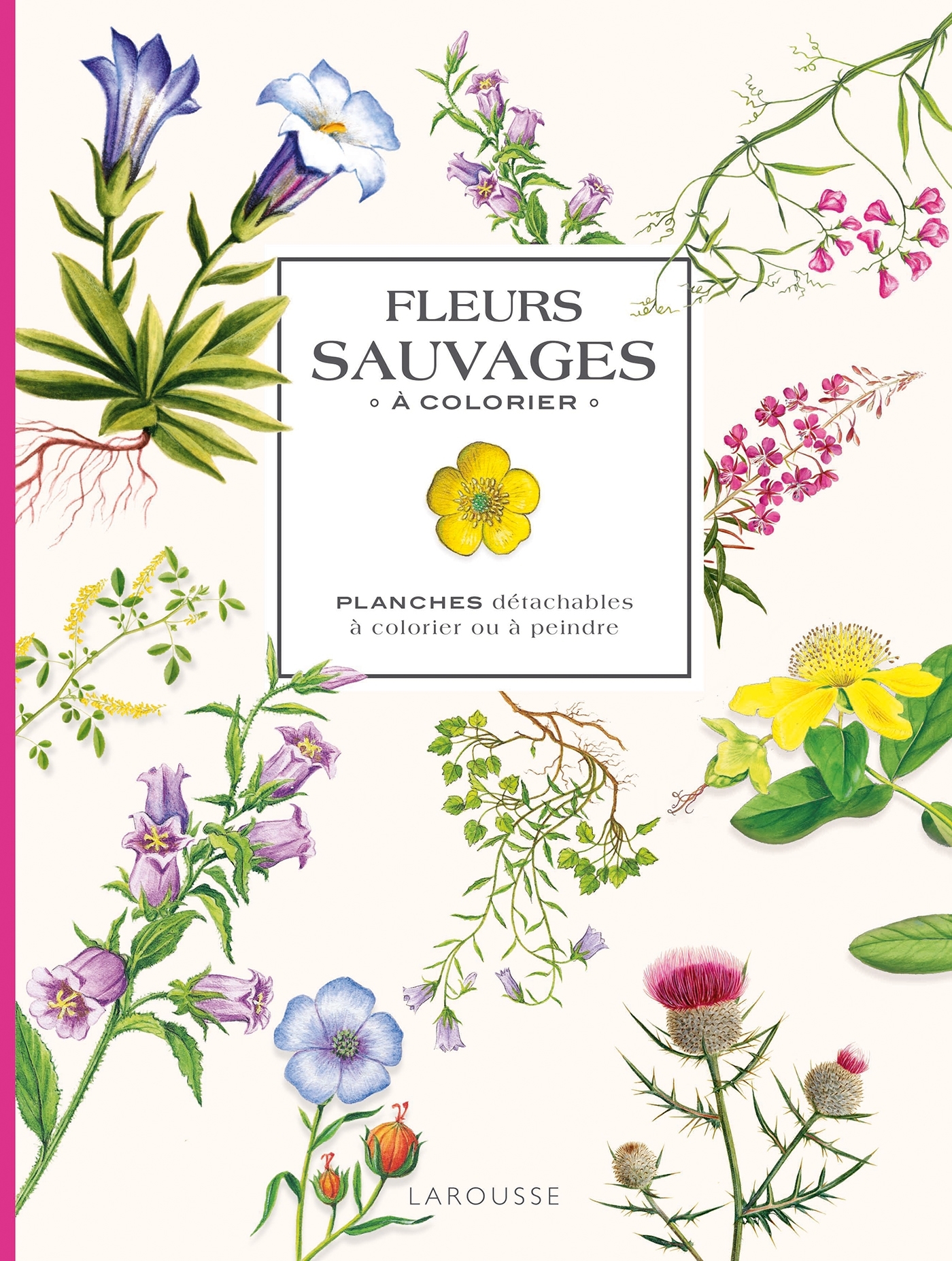 FLEURS SAUVAGES A COLORIER - PLANCHES DETACHABLES A COLORIER OU A PEINDRE - XXX - LAROUSSE