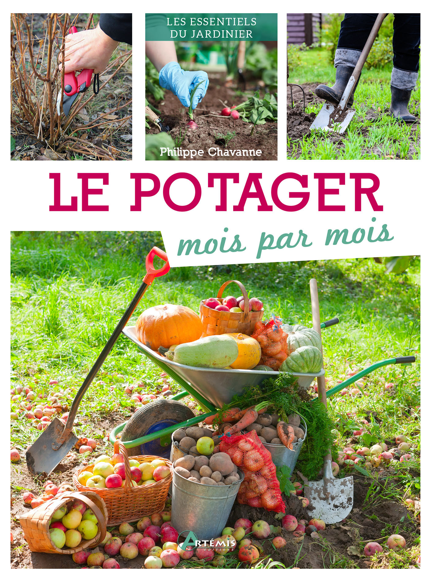 LE POTAGER MOIS PAR MOIS - Philippe Chavanne - ARTEMIS