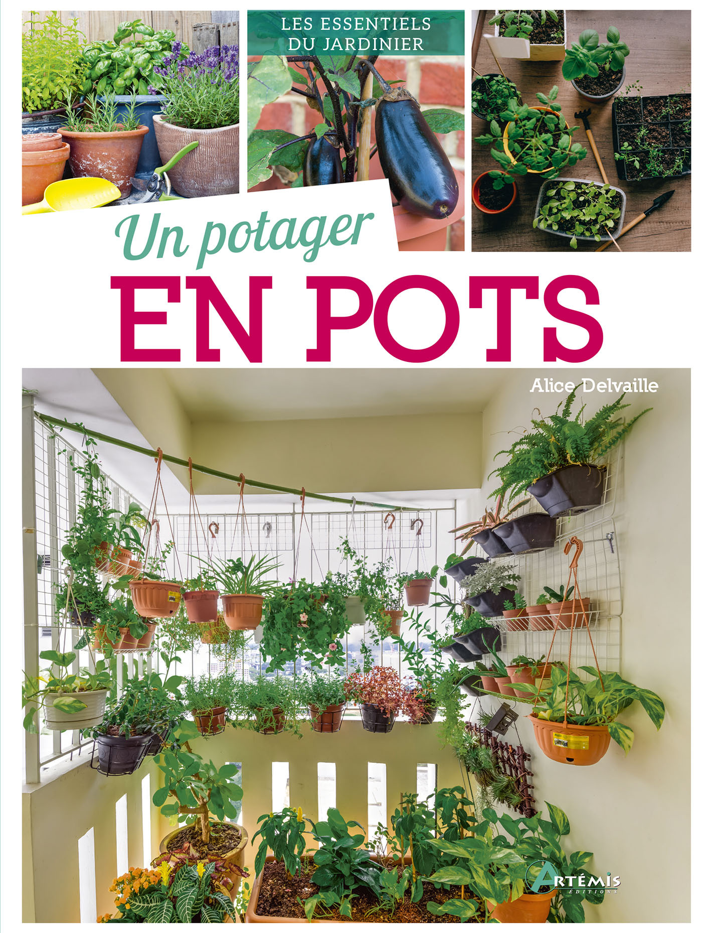 UN POTAGER EN POTS - Alice DELVAILLE - ARTEMIS