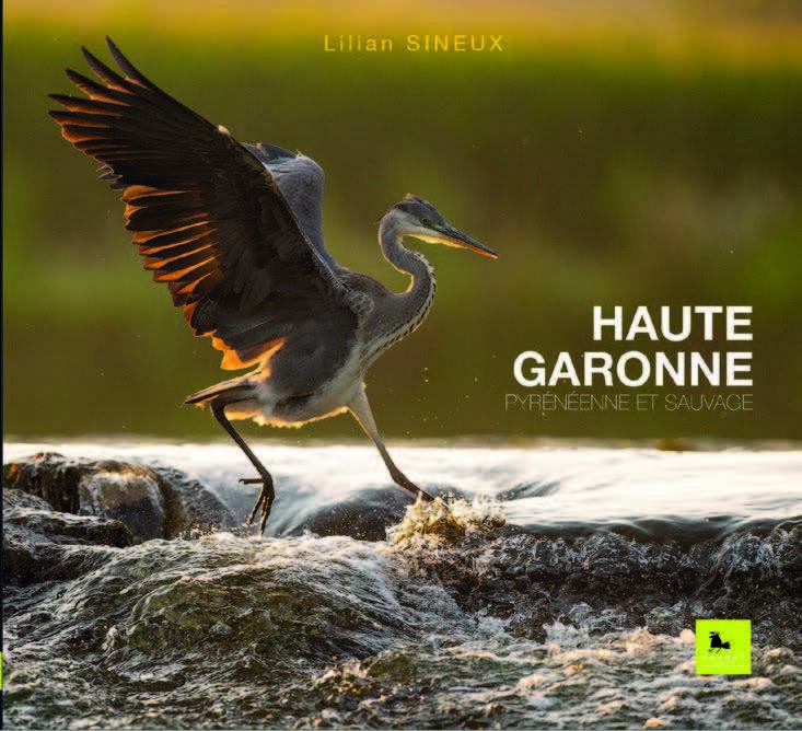 HAUTE-GARONNE - PYRENEENNE ET SAUVAGE - Lilian SINEUX - CORBAC