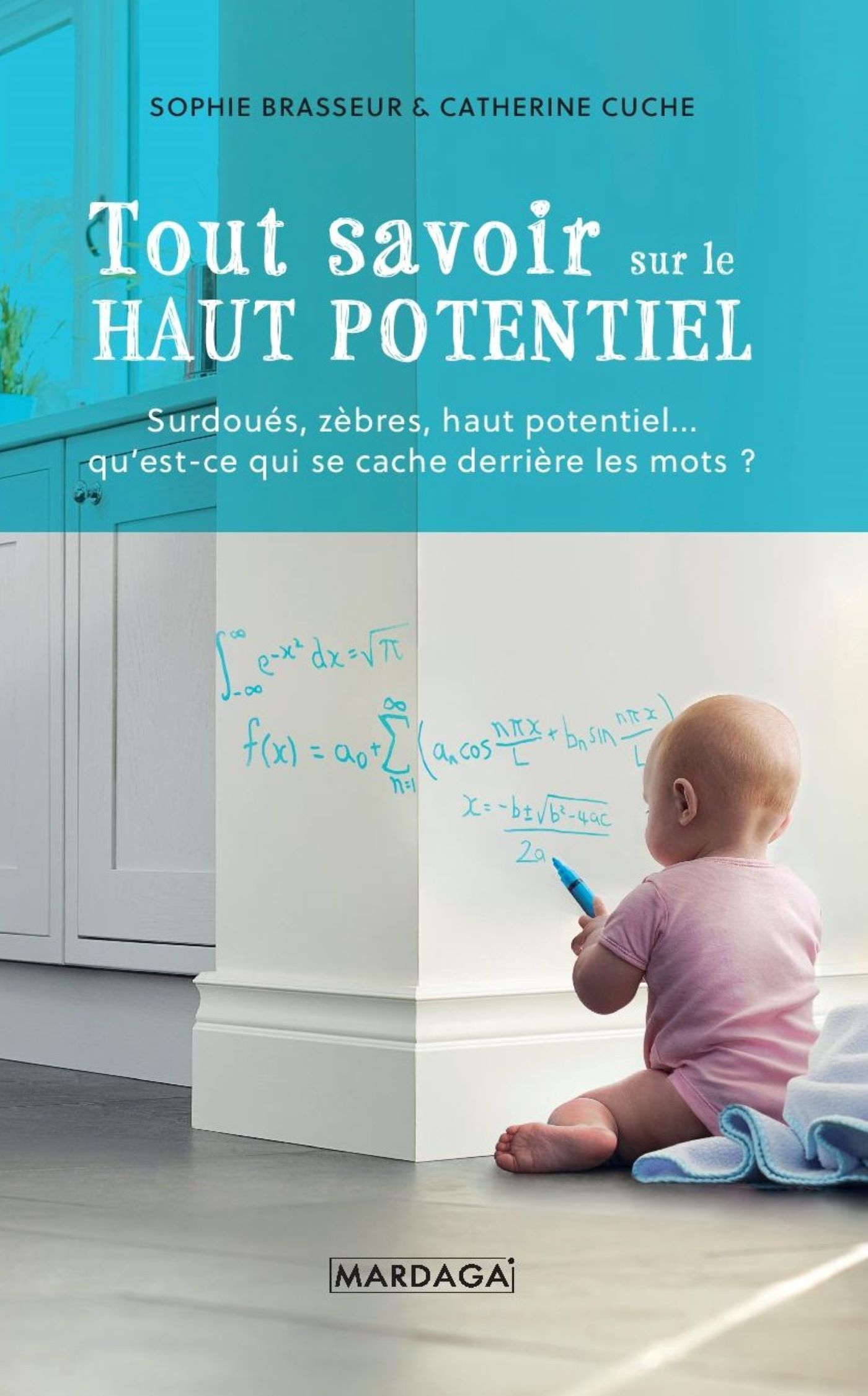 TOUT SAVOIR SUR LE HAUT POTENTIEL - Sophie Brasseur - MARDAGA PIERRE