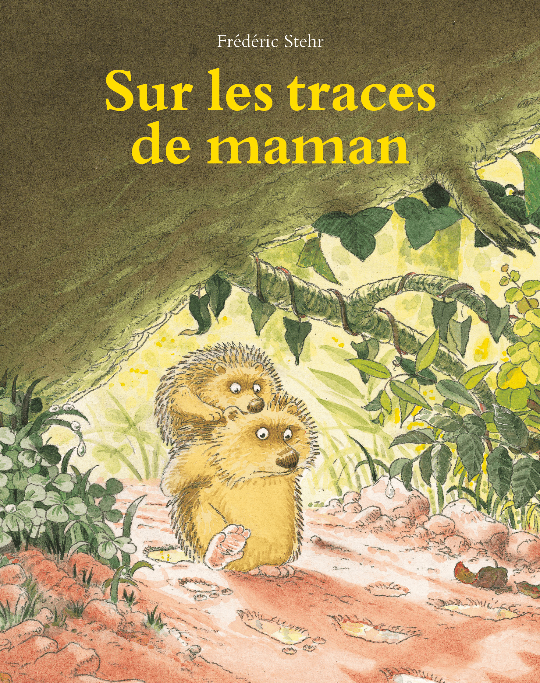 Sur les traces de maman -  Stehr Frédéric - EDL