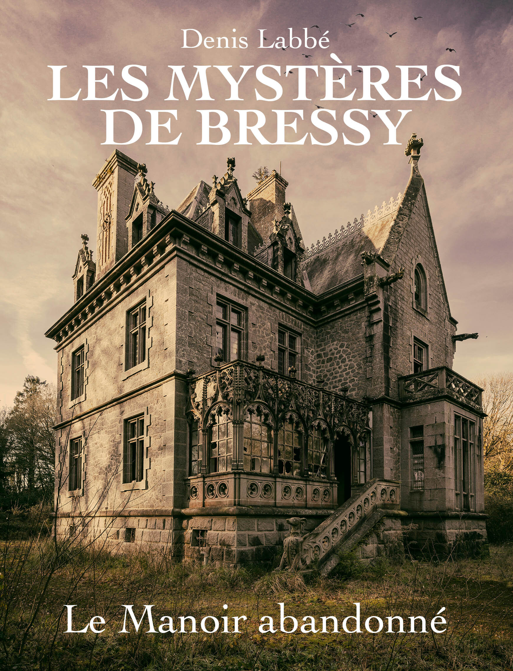 LES MYSTERES DE BRESSY - T01 - LE MANOIR ABANDONNE - Denis Labbé - MAGE EDITIONS