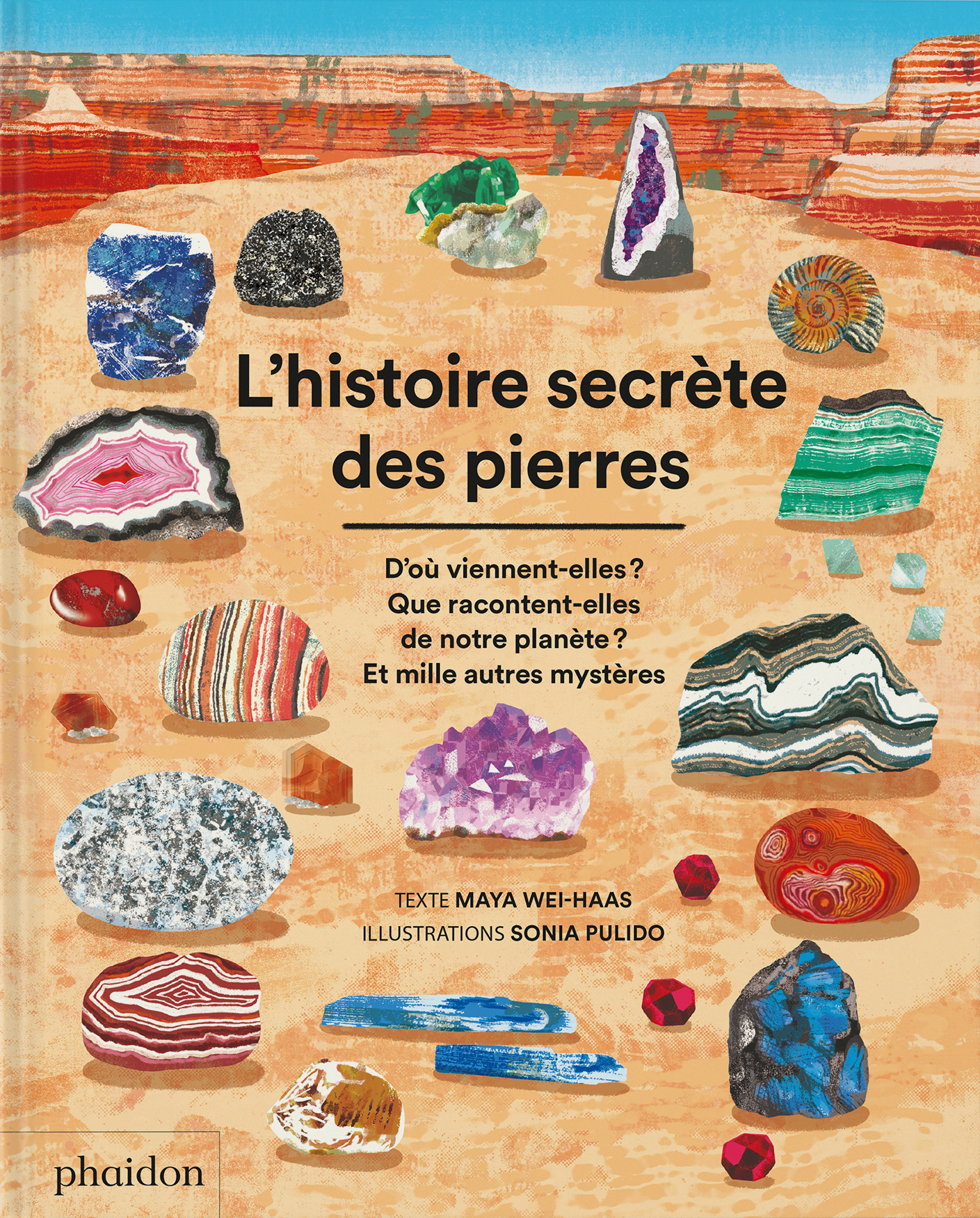 L-HISTOIRE SECRETE DES PIERRES - Sonia Pulido - PHAIDON FRANCE