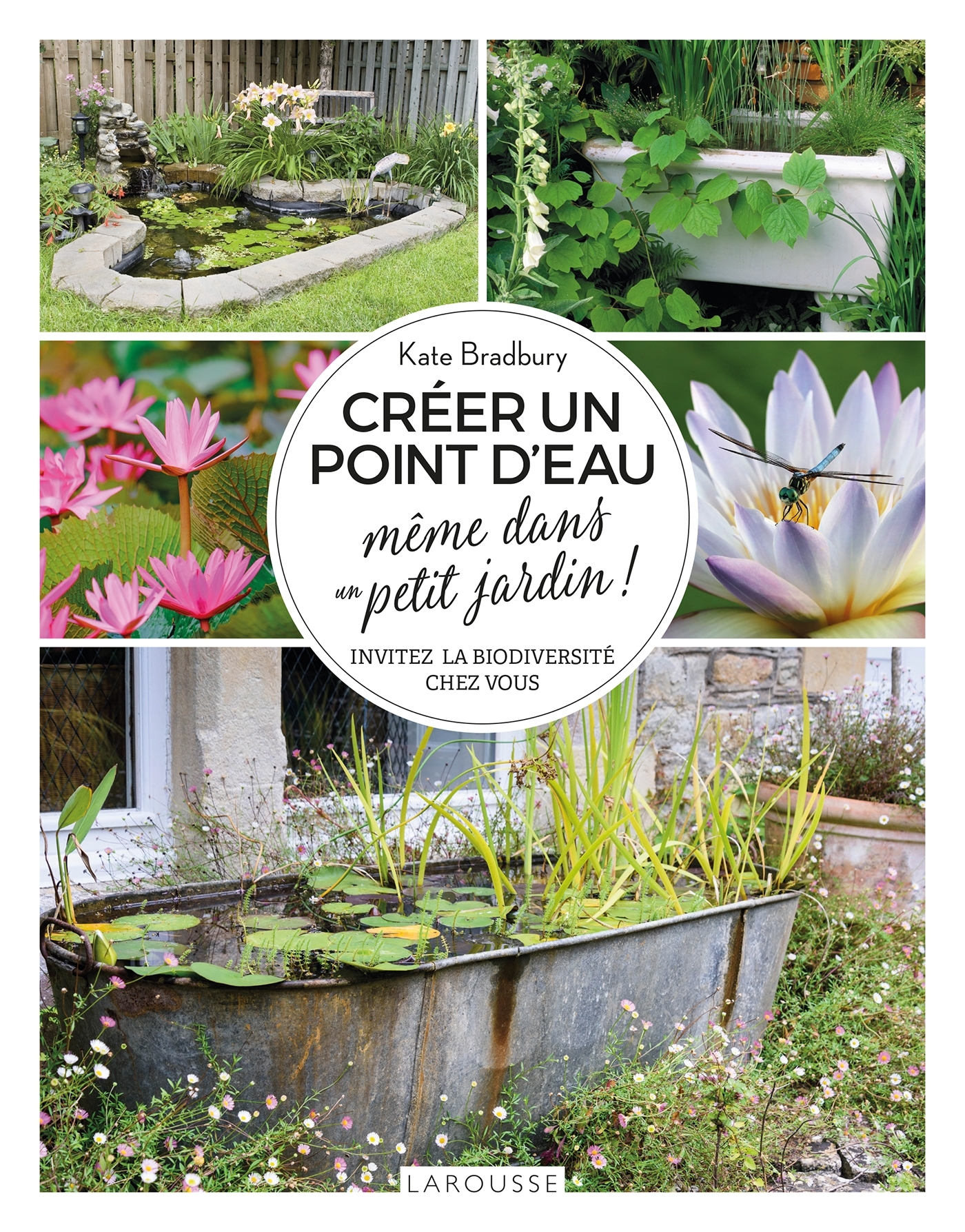 CREER UN POINT D-EAU MEME DANS UN PETIT JARDIN - Kate Bradbury - LAROUSSE