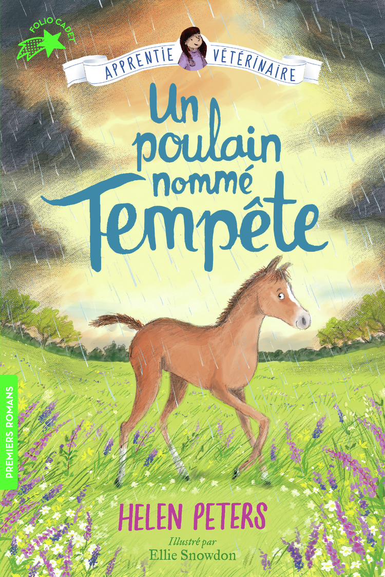 -APPRENTIE VETERINAIRE -T9 UN POULAIN NOMME TEMPETE - Helen Peters - GALLIMARD JEUNE