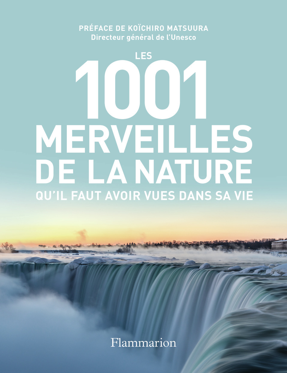 LES 1001 MERVEILLES DE LA NATURE QU-IL FAUT AVOIR VUES DANS SA VIE -  Collectif - FLAMMARION