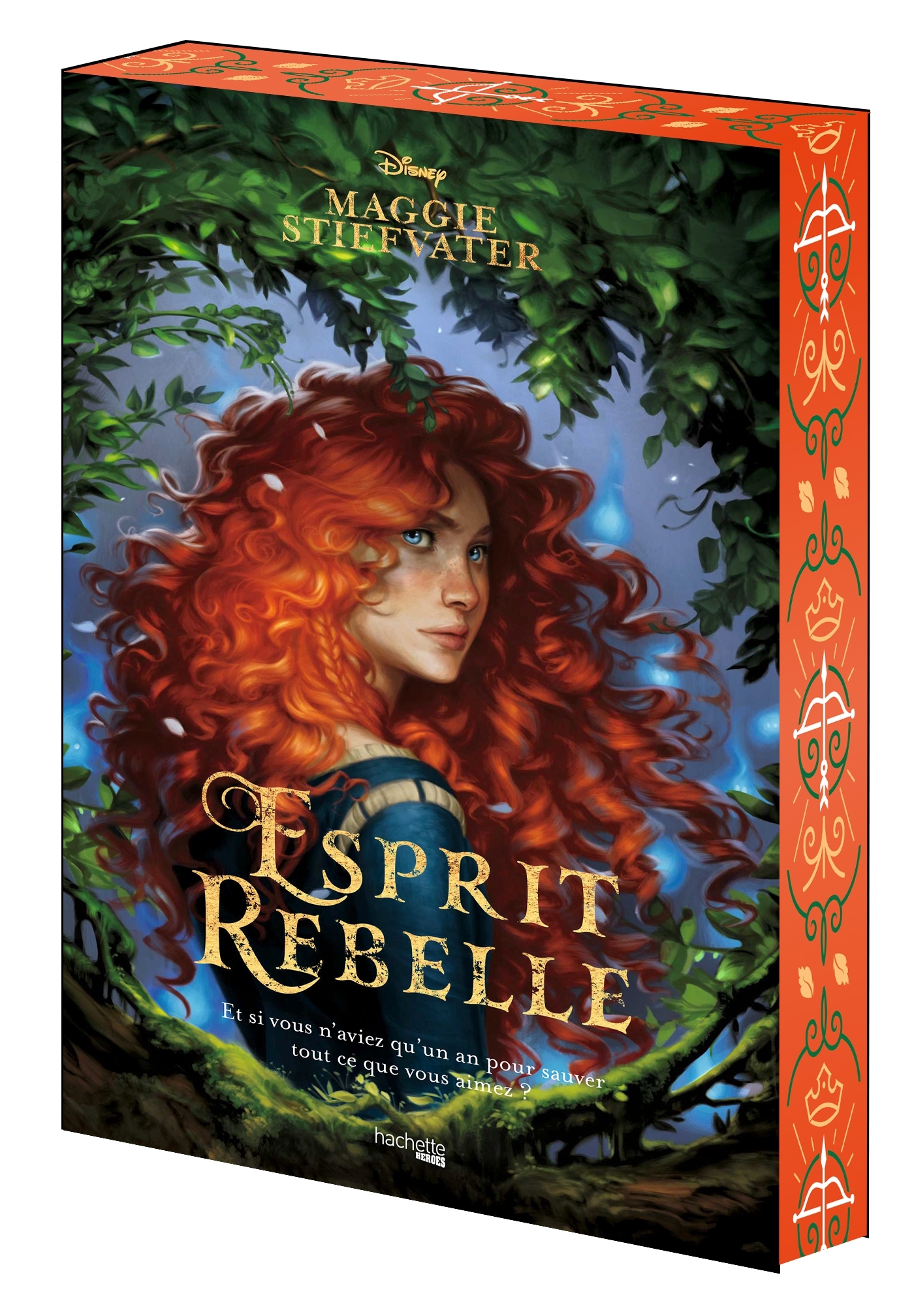 ESPRIT REBELLE - Maggie Stiefvater - HACHETTE HEROES