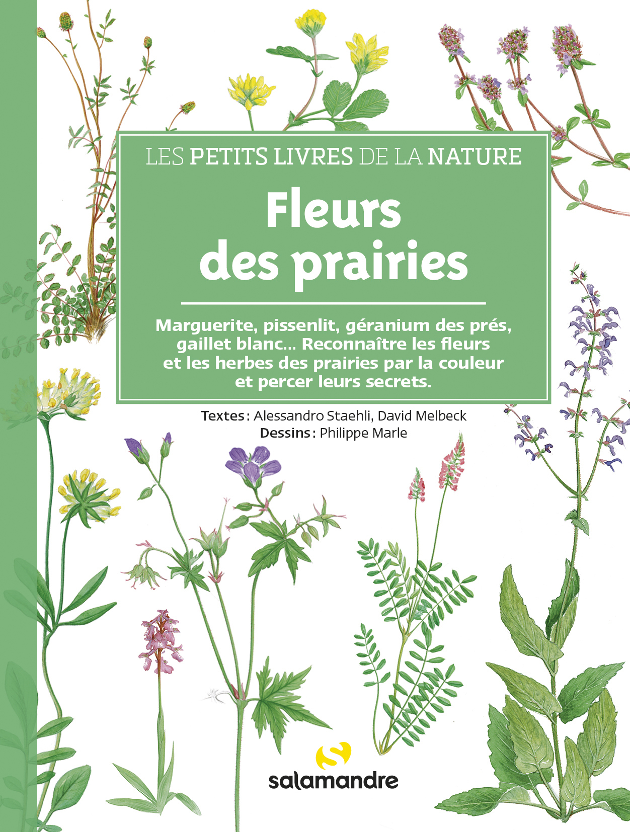 LES PETITS LIVRES DE LA NATURE - FLEURS DES PRAIRIES - David MELBECK - LA SALAMANDRE