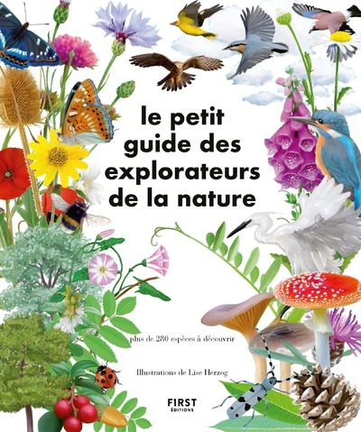 Le Petit Guide des explorateurs de la nature -  Collectif - FIRST