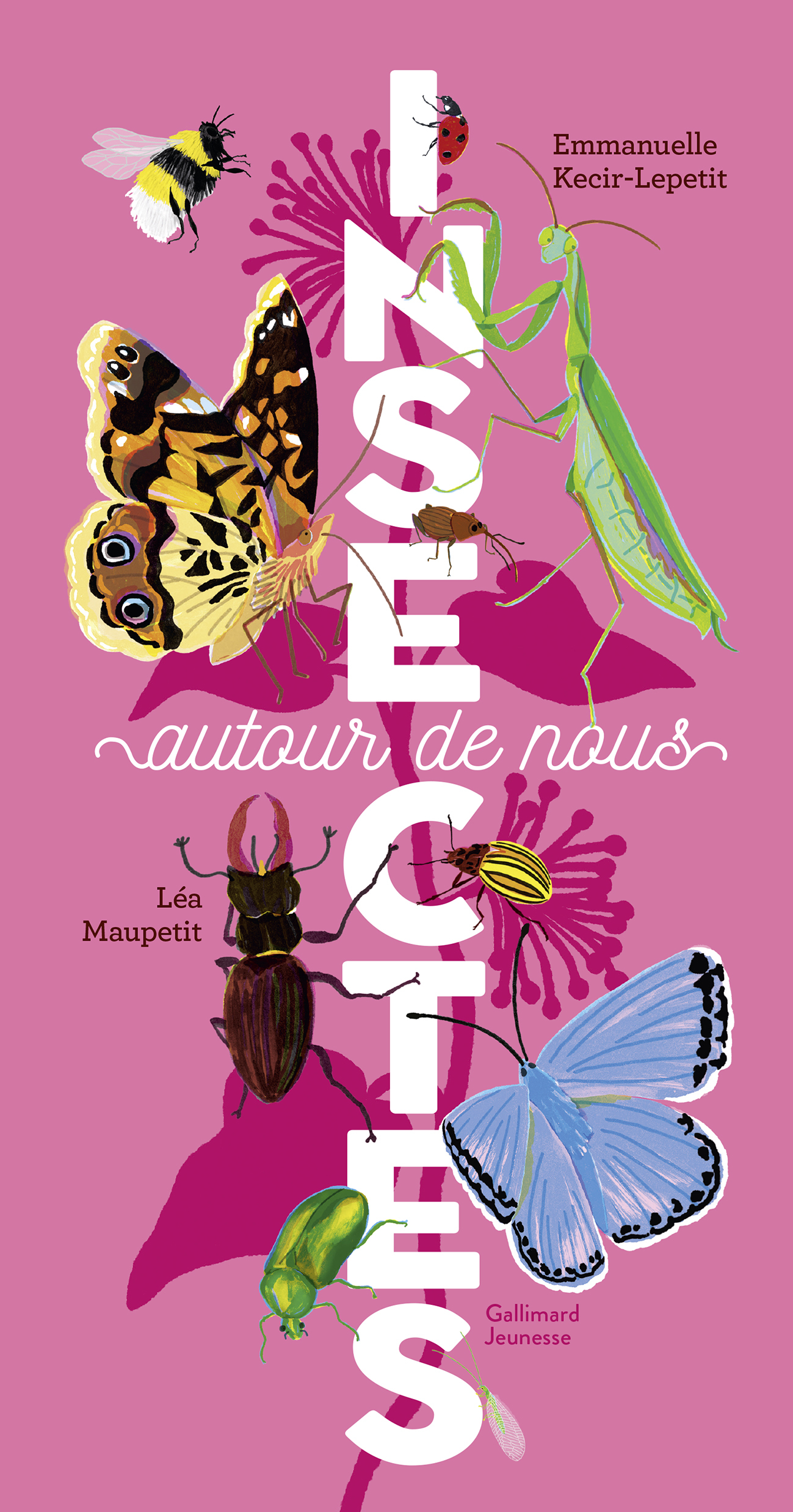 INSECTES AUTOUR DE NOUS -  EMMANUELLE KECIR-LEPETIT - GALLIMARD JEUNE