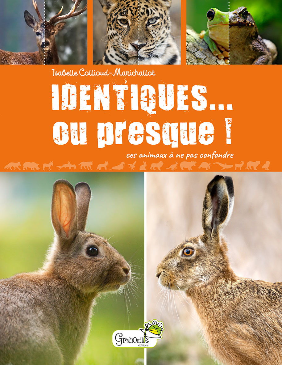 IDENTIQUES... OU PRESQUE ! - Isabelle Collioud-Marichallot - GRENOUILLE