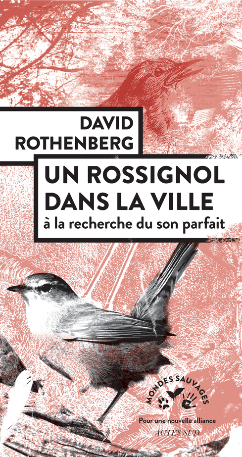 Un Rossignol dans la ville - David Rothenberg - ACTES SUD