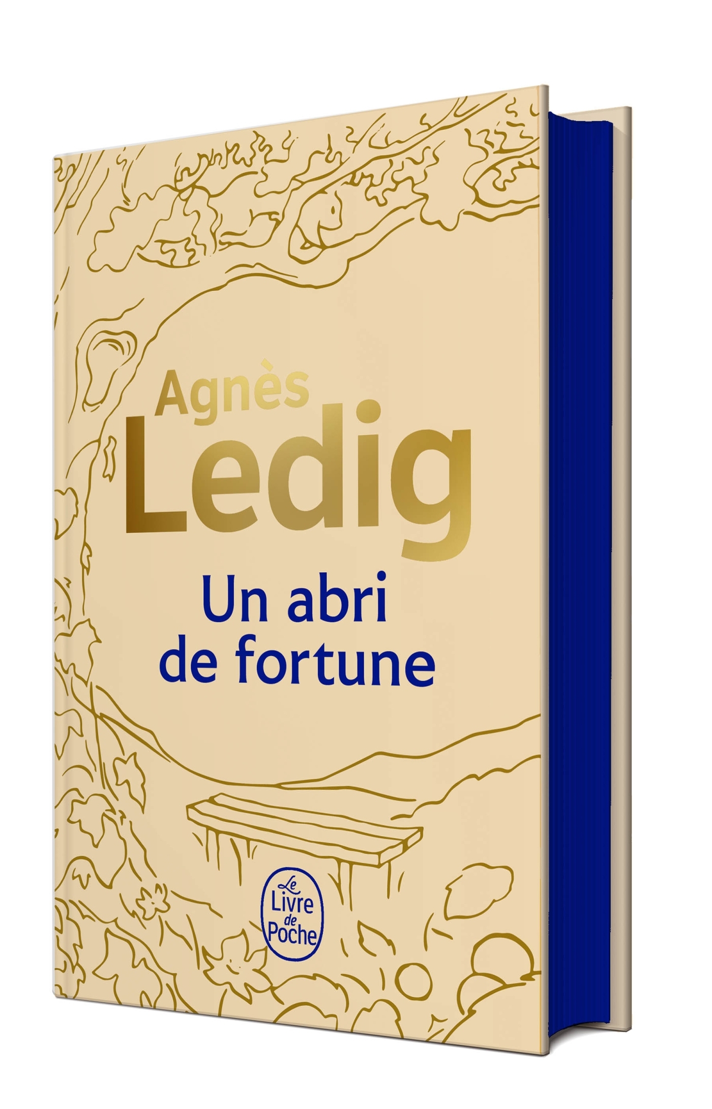 UN ABRI DE FORTUNE - EDITION COLLECTOR - Agnès Ledig - LGF