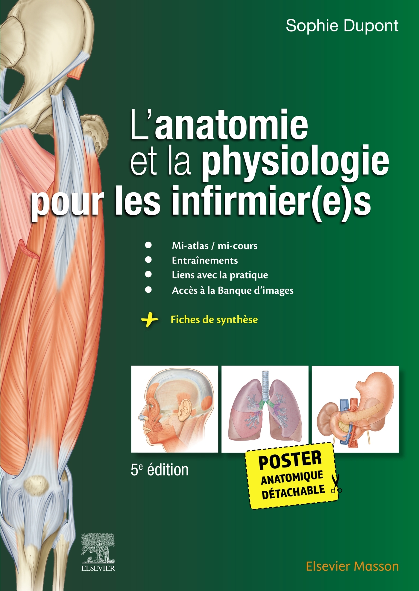 L-ANATOMIE ET LA PHYSIOLOGIE POUR LES INFIRMIER(E)S - Sophie Dupont - MASSON