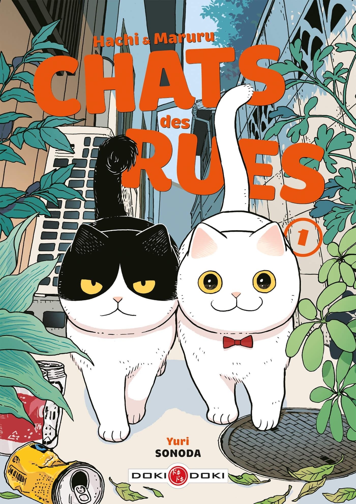 Hachi & Maruru - Chats des rues - vol. 01 - Yuri SONODA - BAMBOO