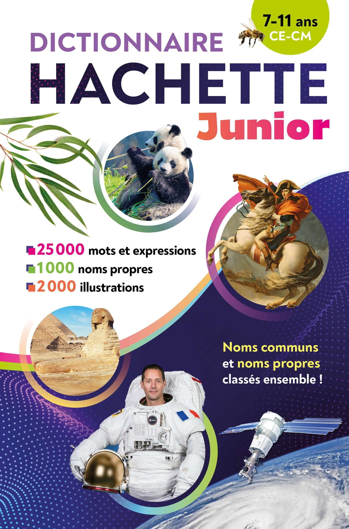 Dictionnaire Hachette Junior -   - HACHETTE EDUC