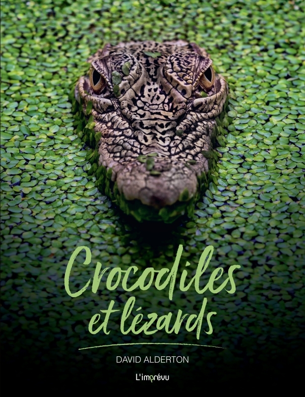 CROCODILES ET LEZARDS - XXX - L IMPREVU