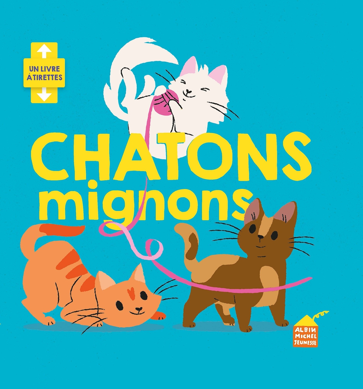 CHATONS MIGNONS - Anne Hurley - ALBIN MICHEL