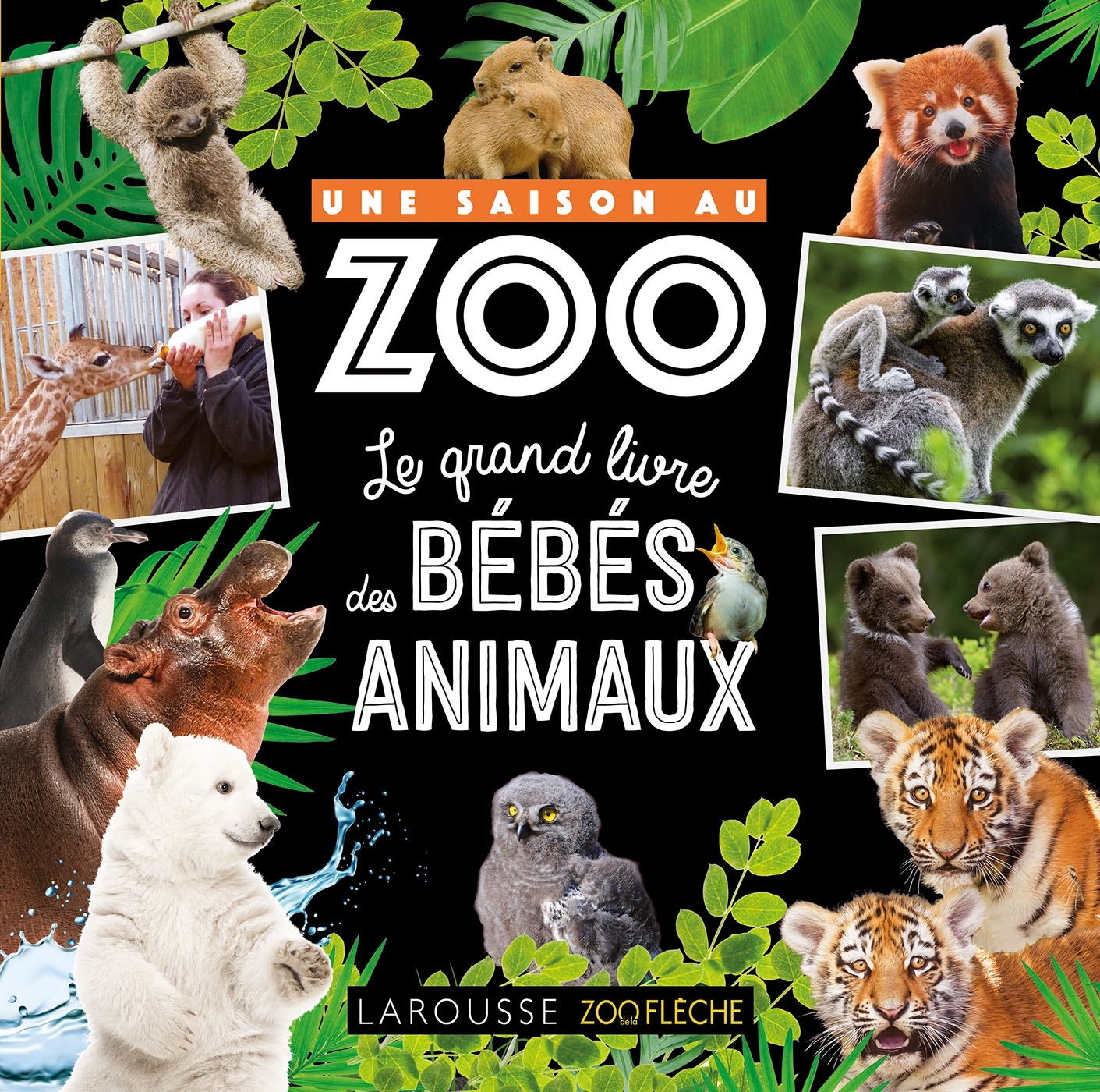 UNE SAISON AU ZOO LE GRAND LIVRE DES BEBES ANIMAUX - Aurore Meyer - LAROUSSE