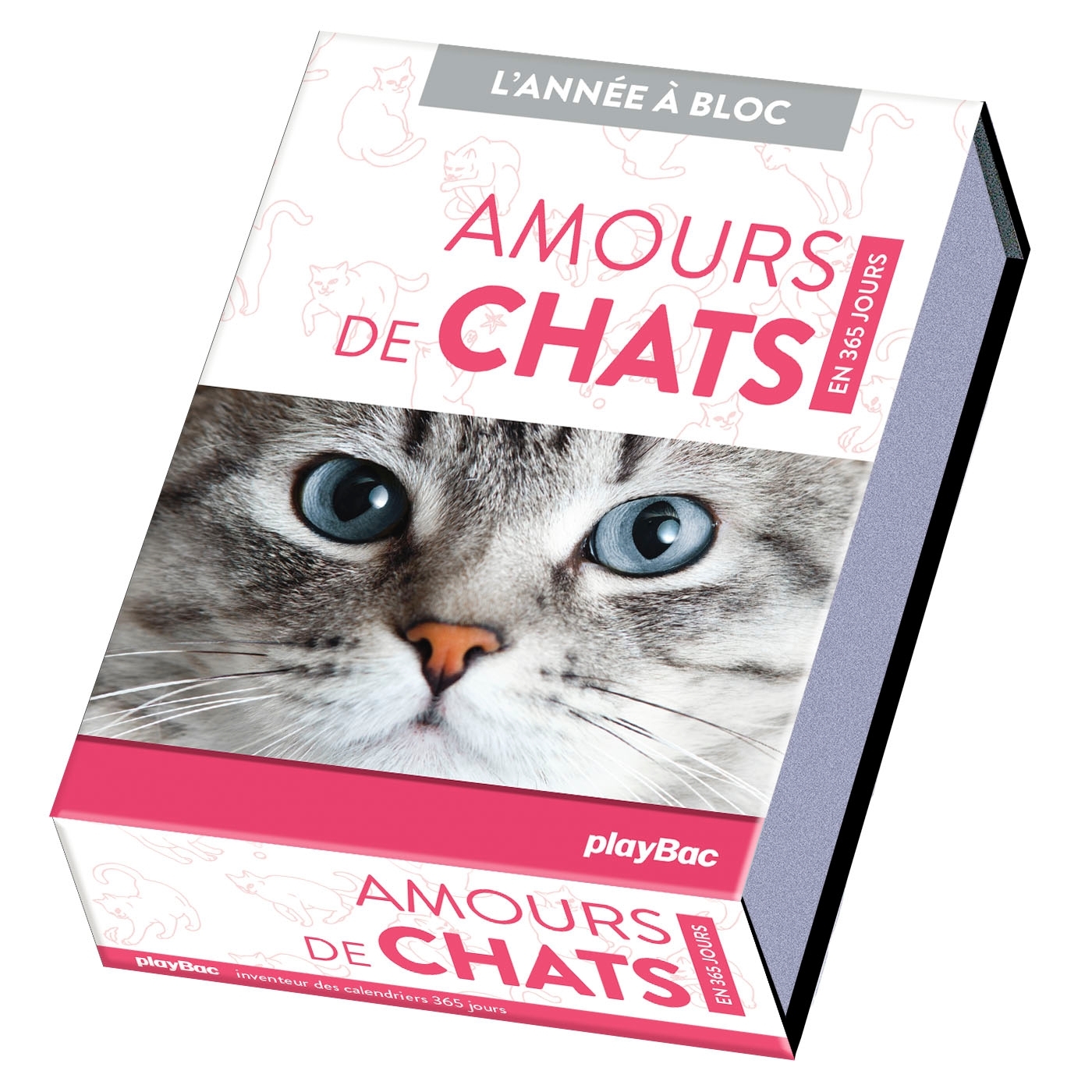 Calendrier Amours de chats en 365 jours - L'Année à bloc -  Playbac Éditions - PLAY BAC