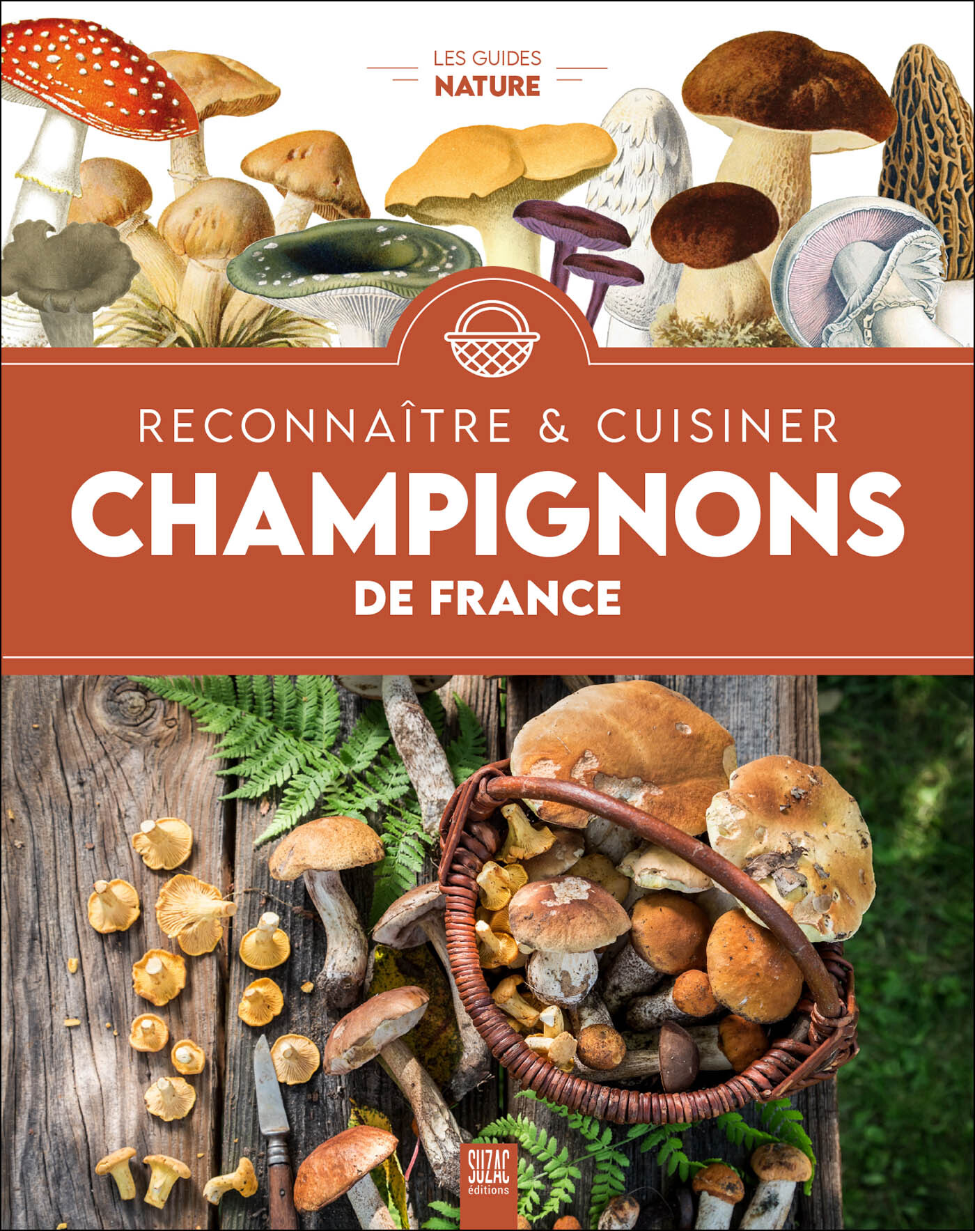 Champignons de France, reconnaître & cuisiner -  Collectif - SUZAC