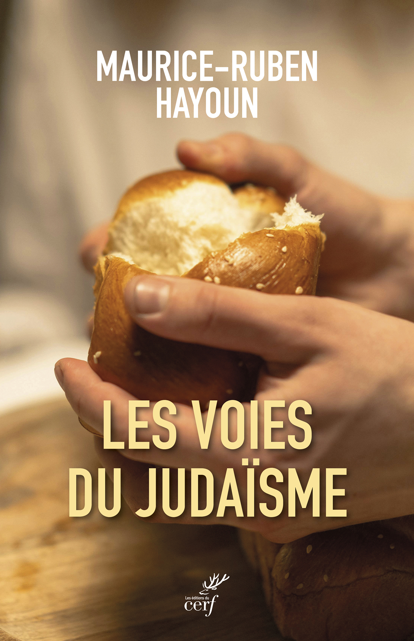 Les voies du Judaïsme -  HAYOUN MAURICE-RUBEN - CERF