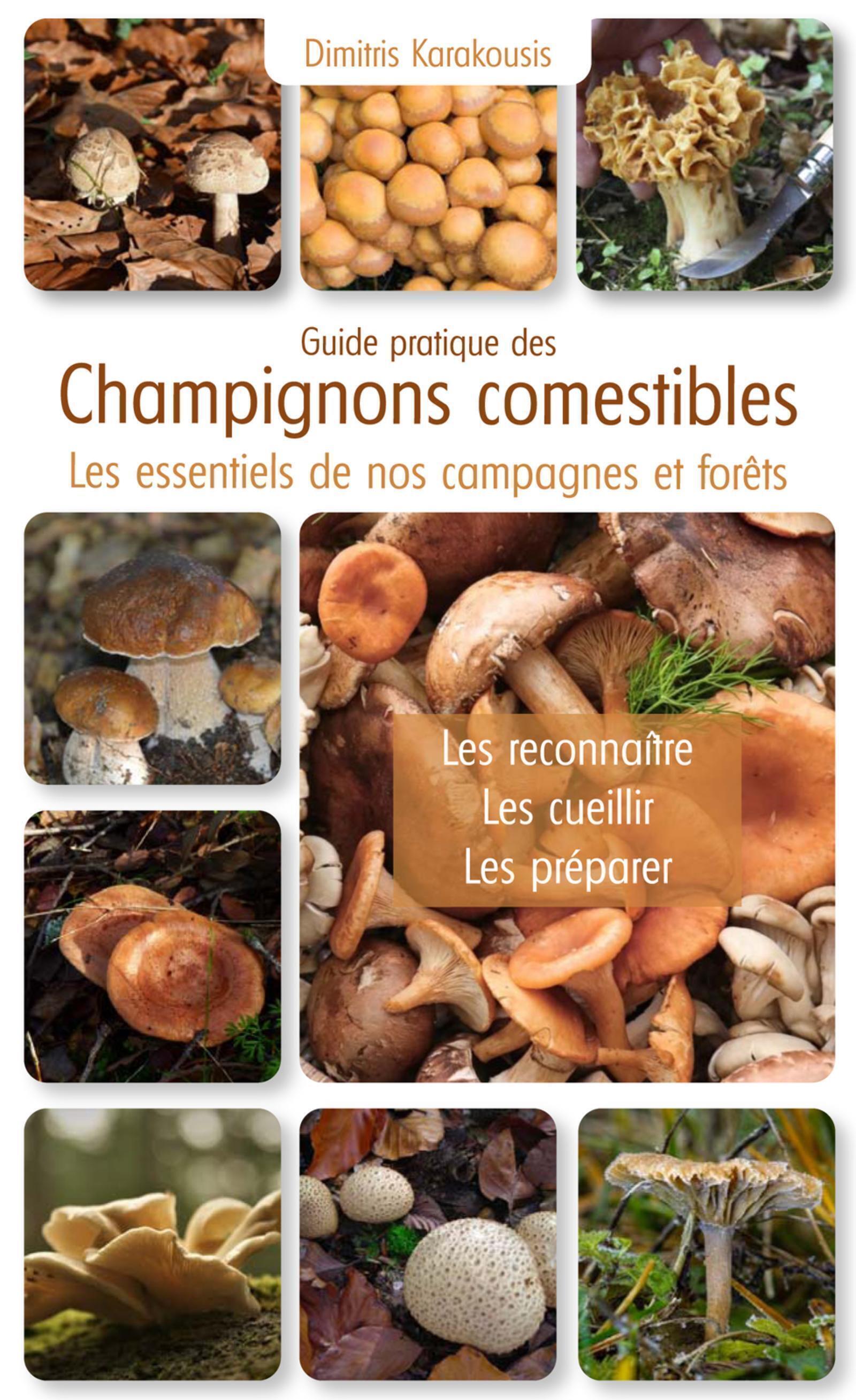 GUIDE PRATIQUE DES CHAMPIGNONS COMESTIBLES - LES ESSENTIELS DE NOS CAMPAGNES ET FORETS - Dimitris Karakousis - PUITS FLEURI