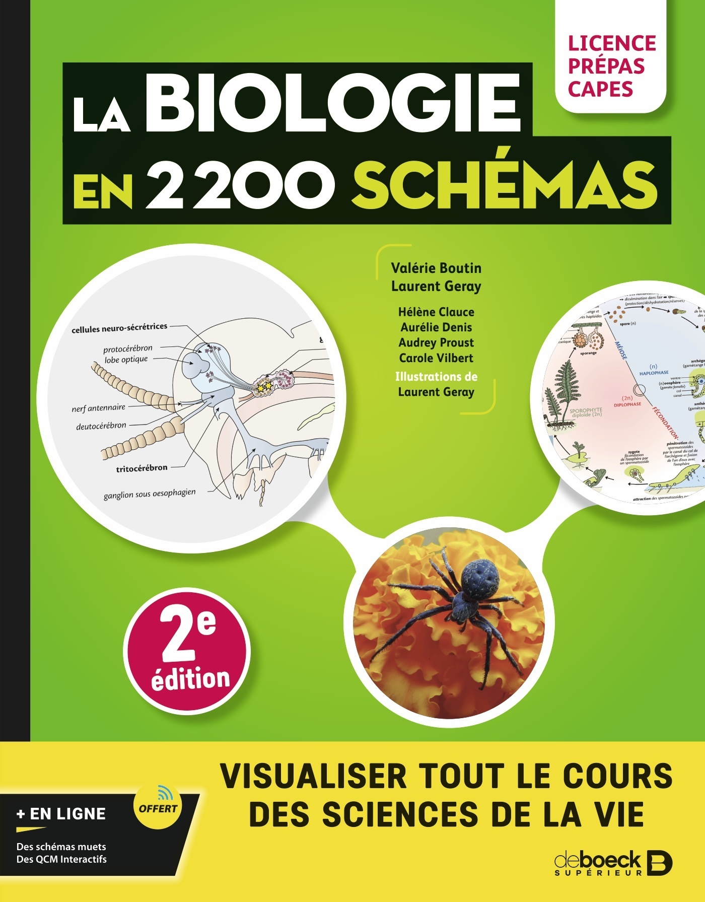 Biologie en 2200 schémas - Valérie Boutin - DE BOECK SUP