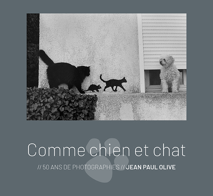 Comme chien et chat - Jean-Paul Olive - IMG PLURIELLES