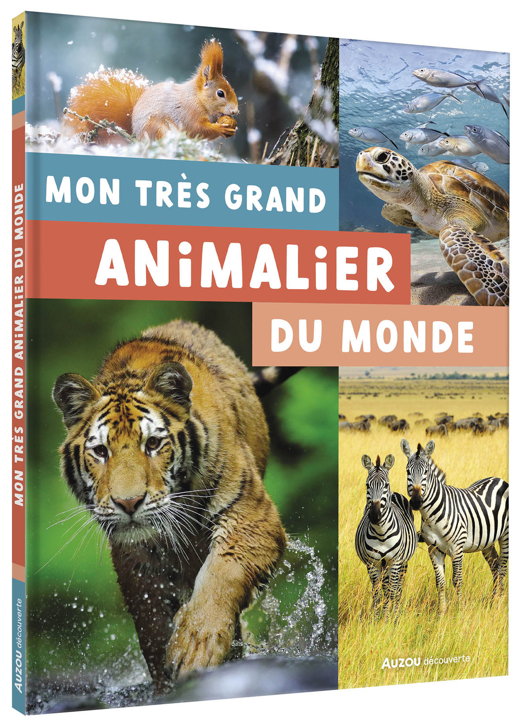 MON PREMIER DOC - MON TRÈS GRAND ANIMALIER - Patrick David - AUZOU