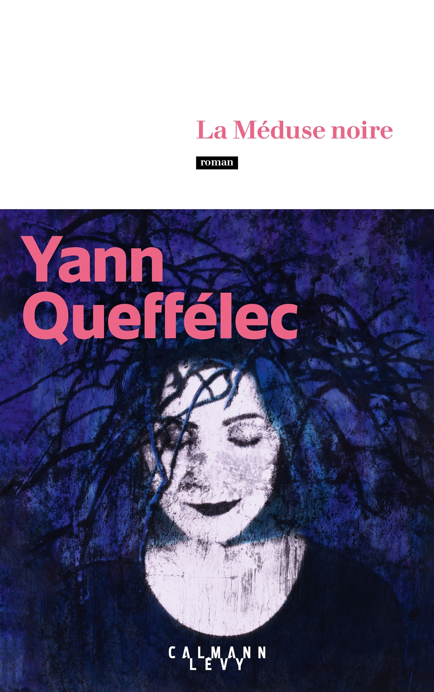 La Méduse noire - Yann Queffélec - CALMANN-LEVY