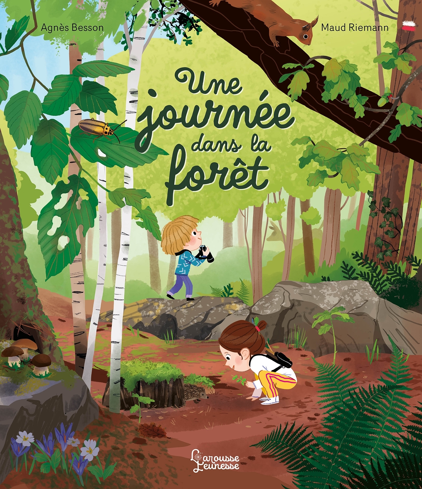 Une journée dans la forêt - Agnès Besson - LAROUSSE