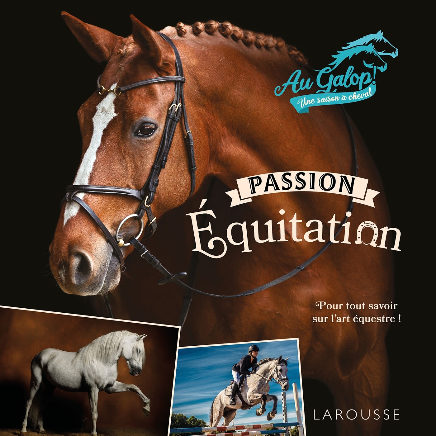 Au Galop - Passion équitation -  Collectif - LAROUSSE