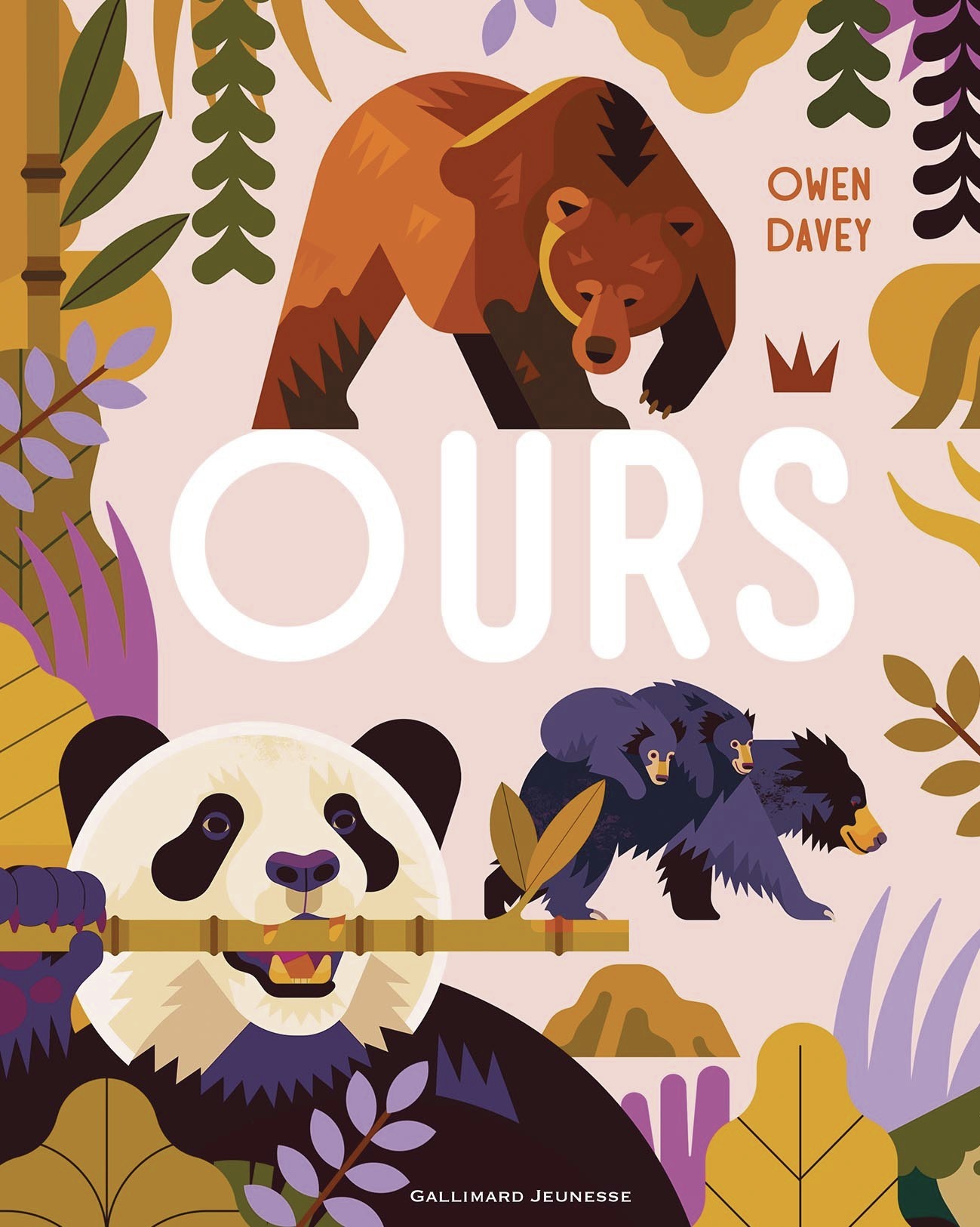 Ours -  OWEN DAVEY - GALLIMARD JEUNE