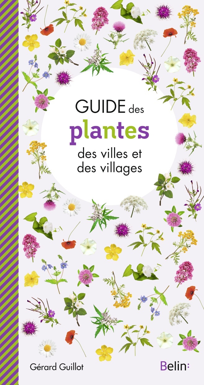 Guide des plantes des villes et villages - Gérard Guillot - BELIN