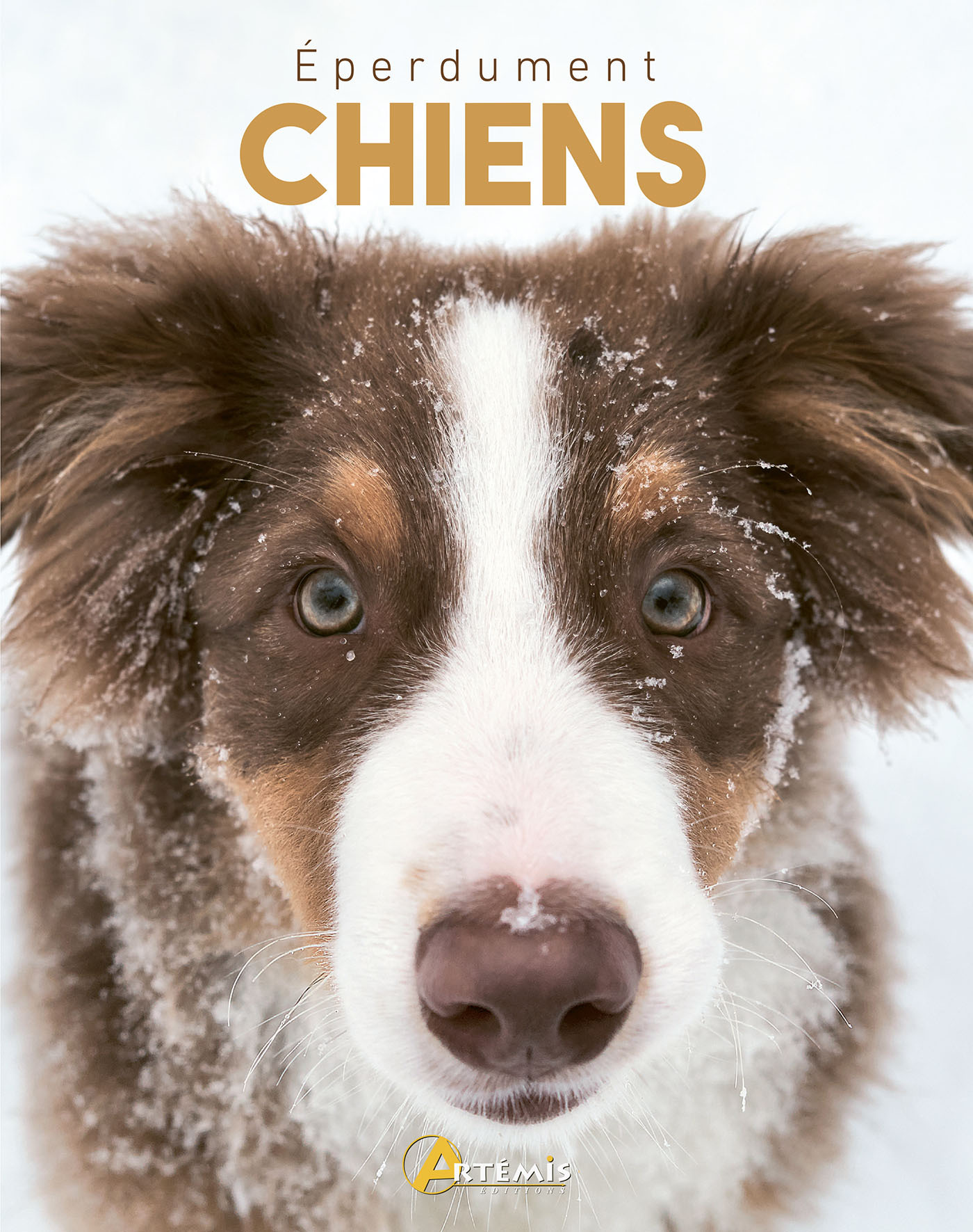 Eperdument chiens -  JACKSON Tom - ARTEMIS