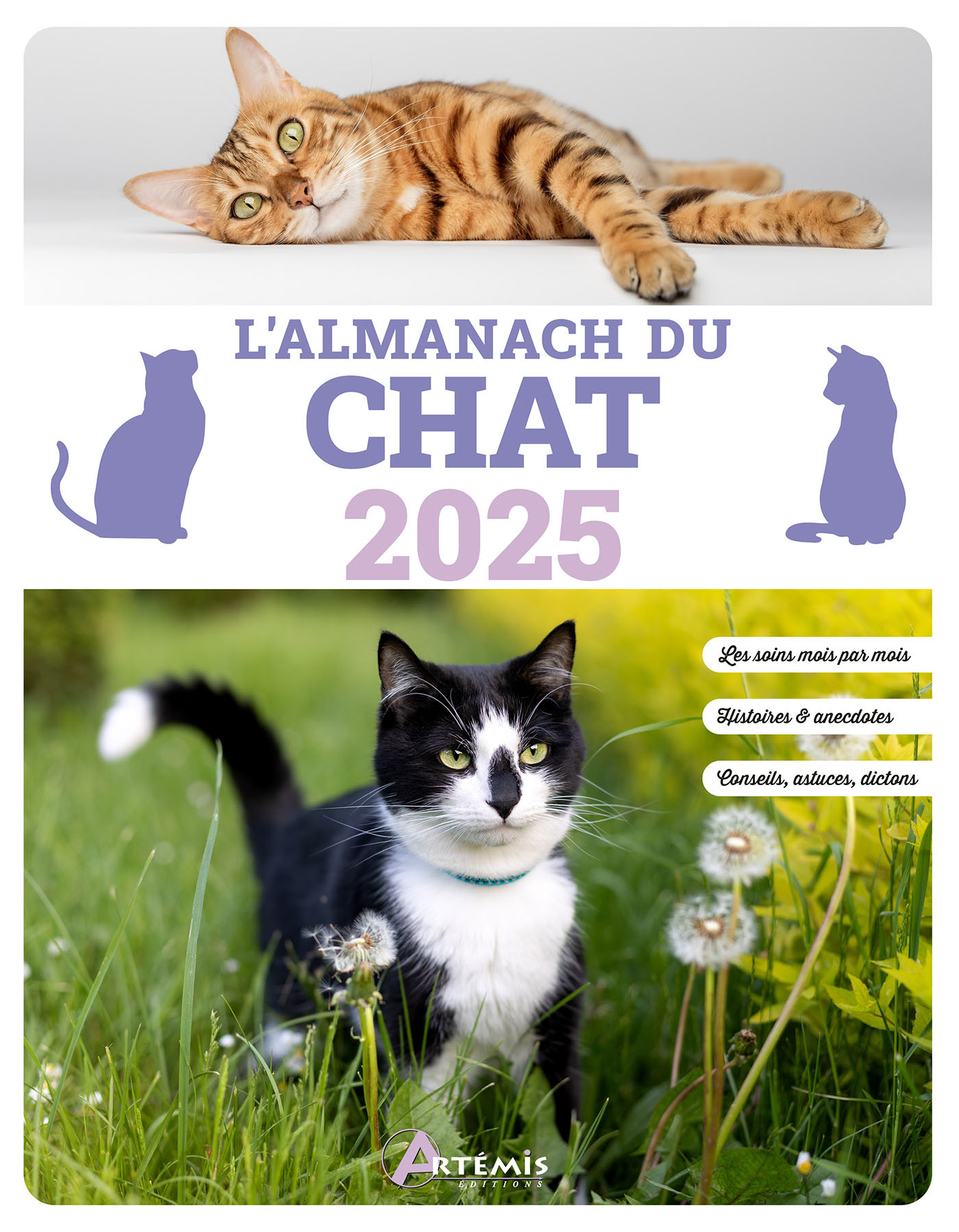 Almanach du chat 2025 - Philippe Chavanne - ARTEMIS