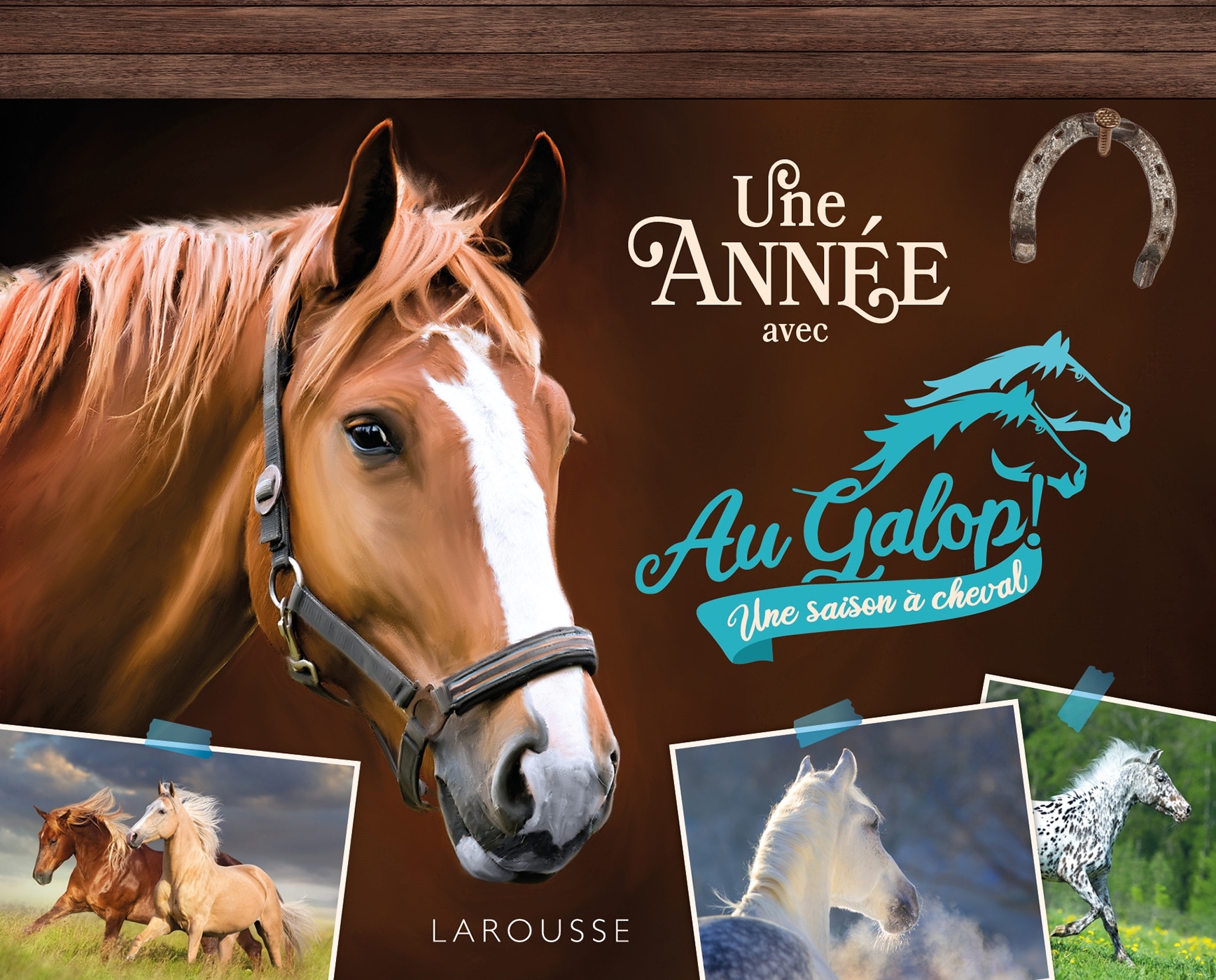 Une année avec AU GALOP -  Collectif - LAROUSSE