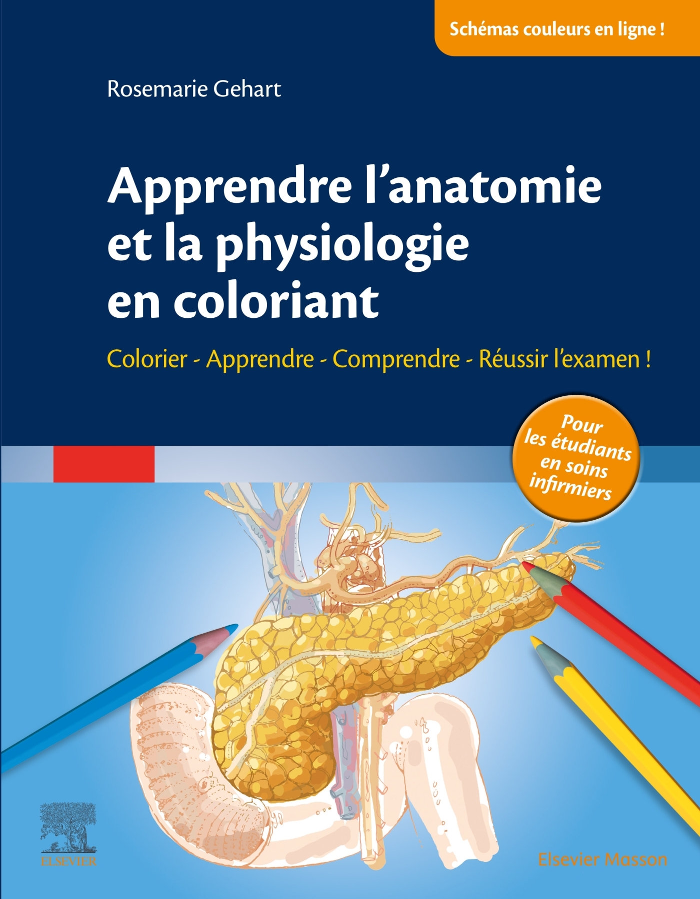 APPRENDRE L-ANATOMIE ET LA PHYSIOLOGIE EN COLORIANT - COLORIER - APPRENDRE - COMPRENDRE - REUSSIR L- - Rosemarie Gehart - MASSON