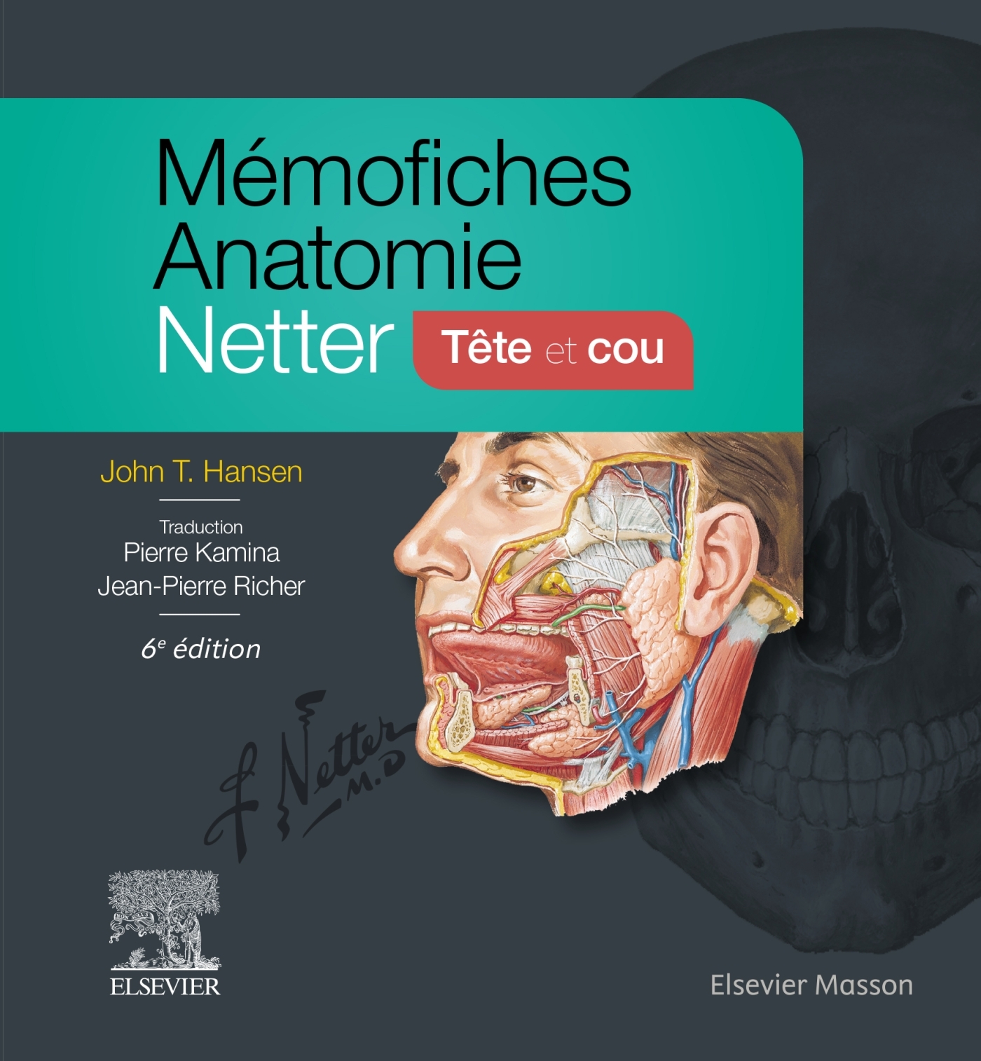 MEMOFICHES ANATOMIE NETTER ? TETE ET COU - John T. Hansen - MASSON