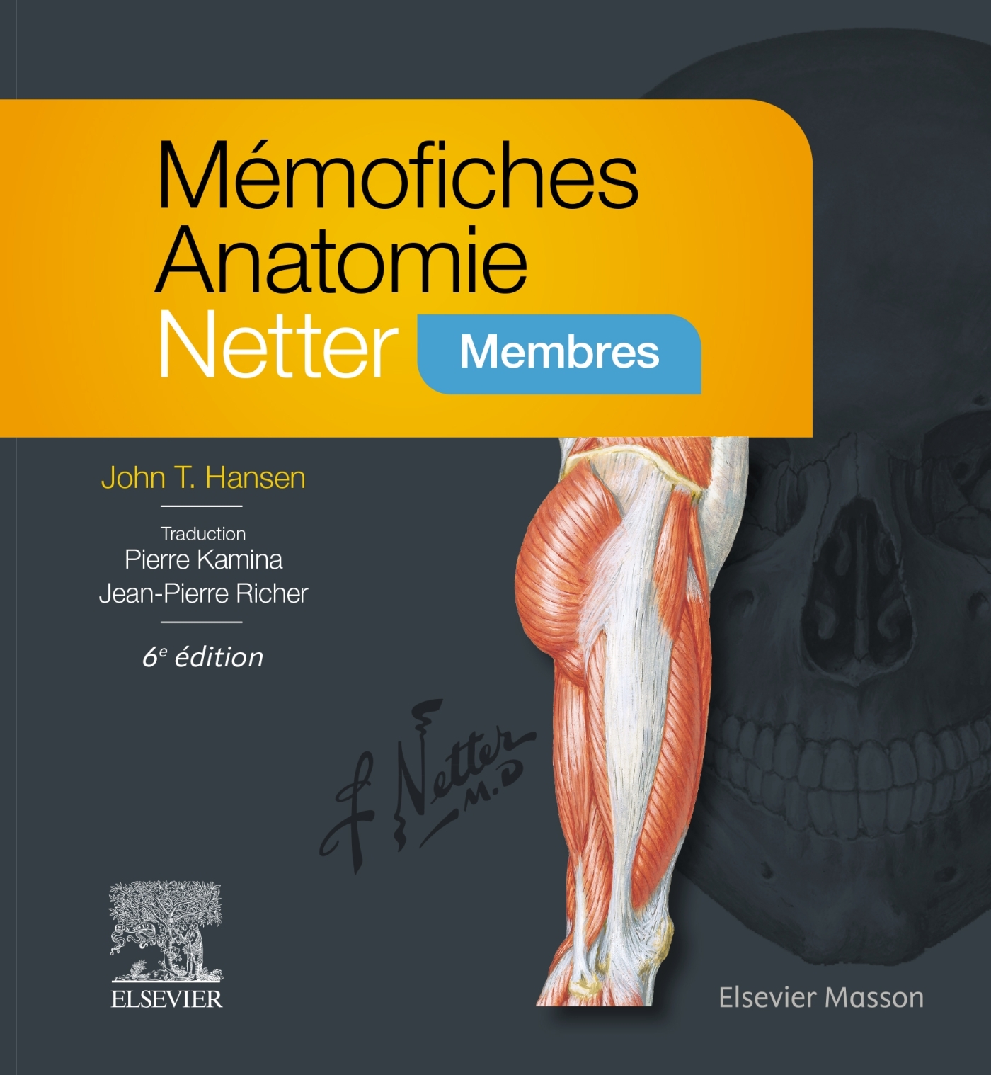 MEMOFICHES ANATOMIE NETTER - MEMBRES - John T. Hansen - MASSON