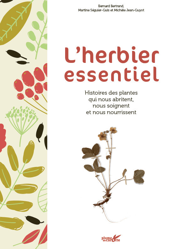 L-HERBIER ESSENTIEL - HISTOIRES DES PLANTES QUI NOUS NOURISS - Bertrand BERNARD - PLUME CAROTTE