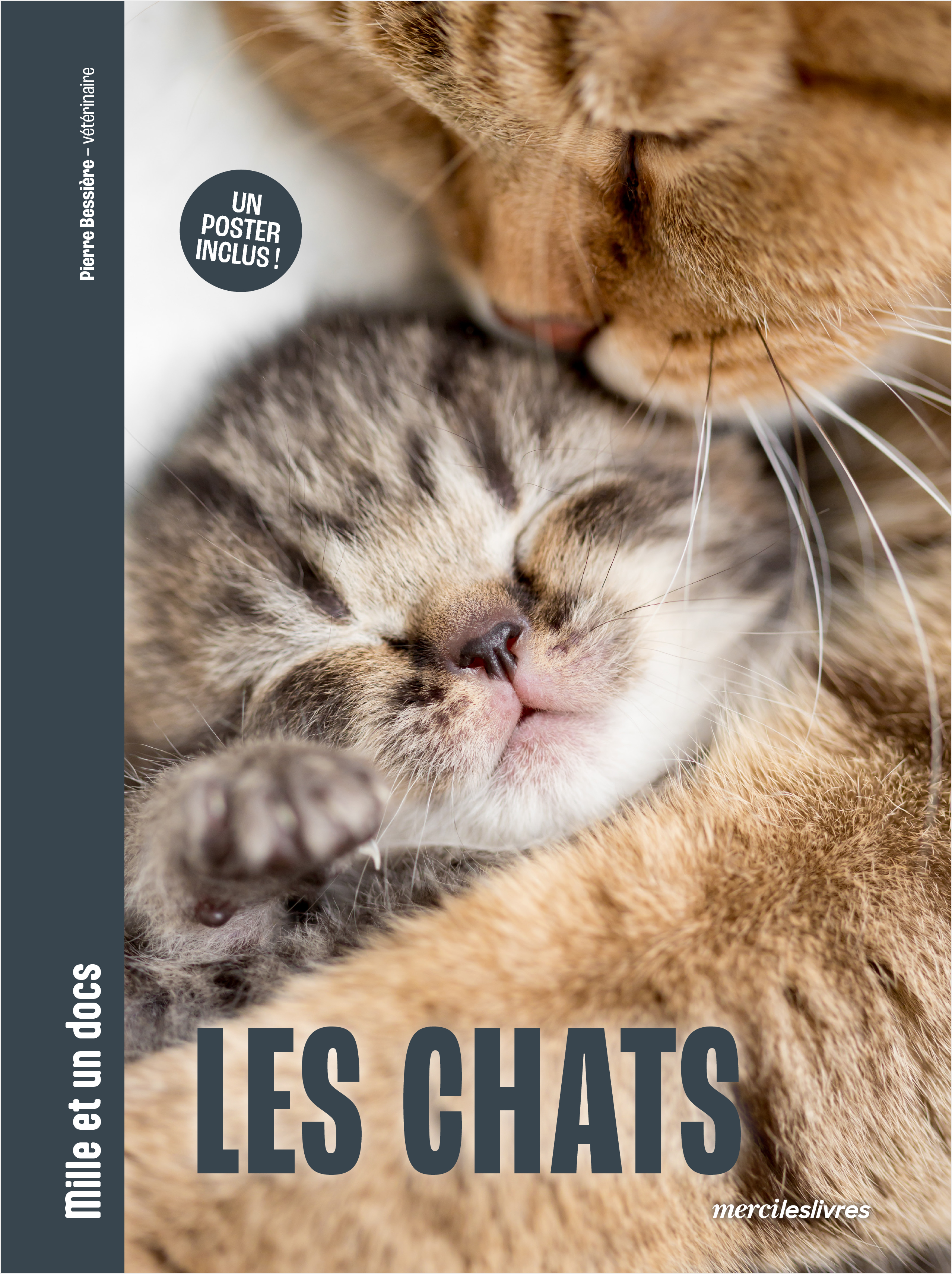 LES CHATS - MILLE ET UN DOCS - INCLUS : UN POSTER RECTO VERSO ! - Pierre Bessiere - MERCILESLIVRES