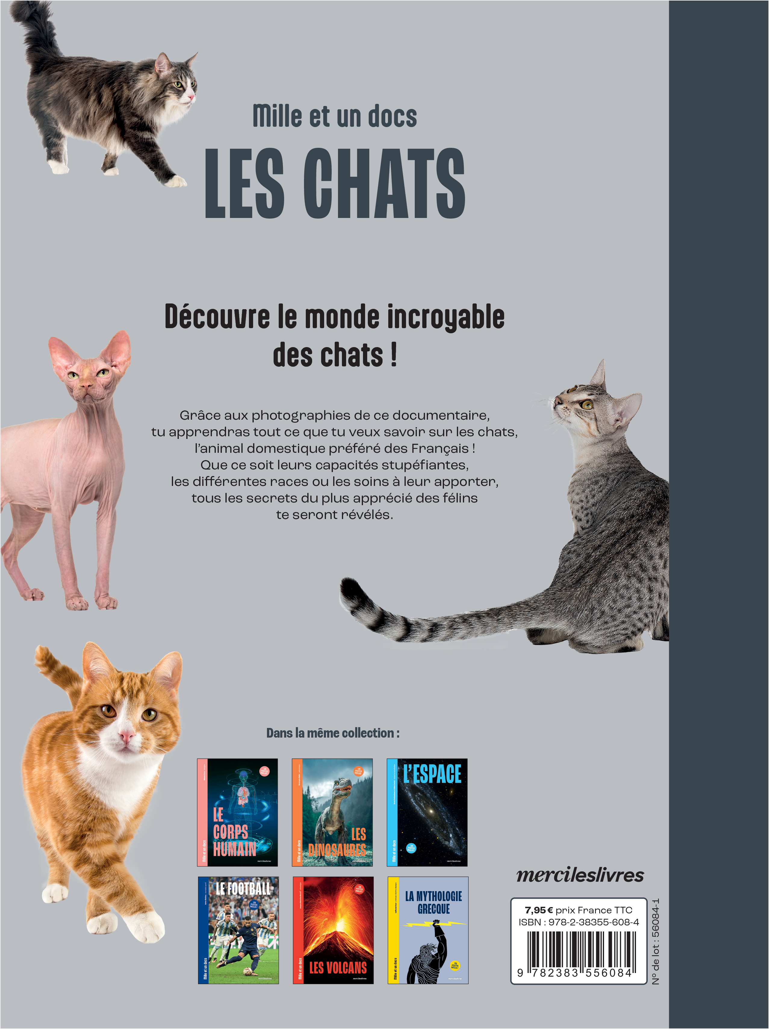 LES CHATS - MILLE ET UN DOCS - INCLUS : UN POSTER RECTO VERSO ! - Pierre Bessiere - MERCILESLIVRES